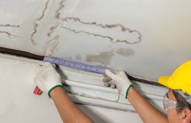 Reliable Burst Pipe Cleanup contractor in Ferndale, WA by Local Water Damage Repair